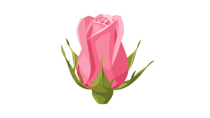 Pink rosebud with green leaves on white background