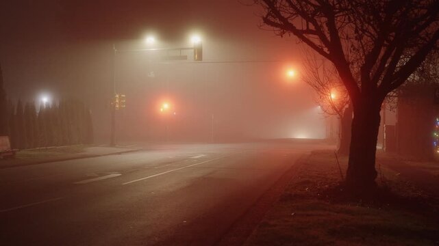Foggy winter night, a couple of cars driving up to an empty intersection and stopped at the red light. Once the traffic light changed to green, both cars started to drive forward towards the camera.