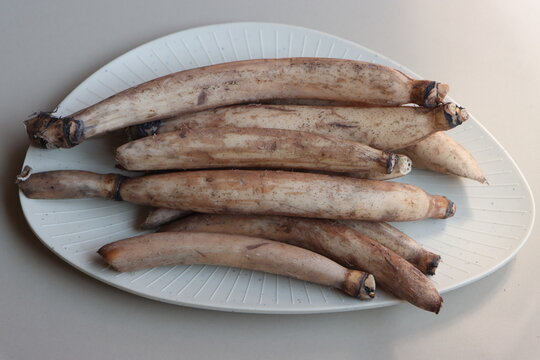 Whole farm fresh Lotus root, also known as renkon, nandru is the edible rhizome of the sacred lotus plant, Nelumbo nucifera, traditional Asian cooking ingredient