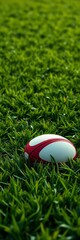 A lone oval sports ball rests on lush green grass, awaiting the next rugby match,  sport, rugby