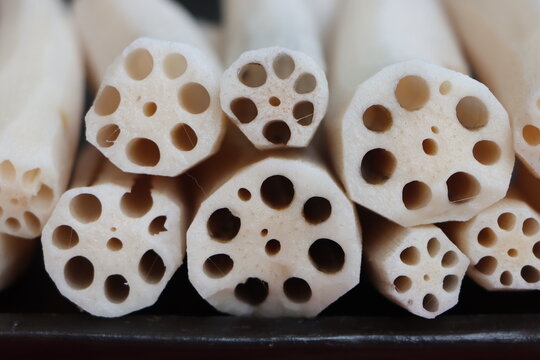 Sliced Lotus Roots, highlights its unique symmetrical air canals