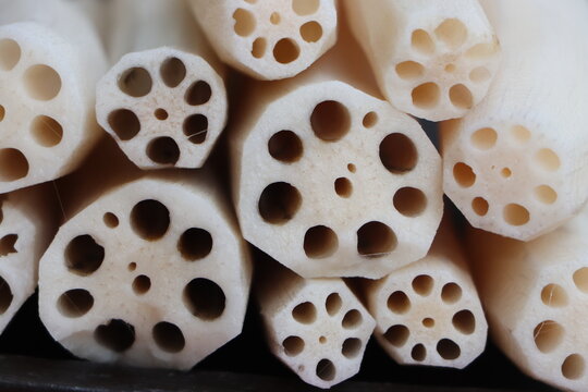 Sliced Lotus Roots, highlights its unique symmetrical air canals