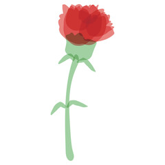 Obraz premium 母の日のための 透け感カーネーションシリーズ｜カーネーション（一輪） Carnation for Mother’s Day Series | Single Transparent Carnation