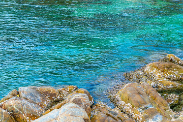 Thailand Kalim Beach turquoise blue clear water waves rocks shells.