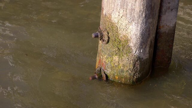 Waves washing up hitting a thick wooden post with a couple of screws. Visible water stain on much of the wood that have been submerged in murky water. 