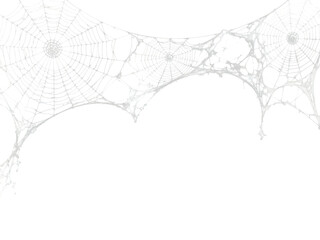 Spider web border with realistic white cobwebs on transparent background