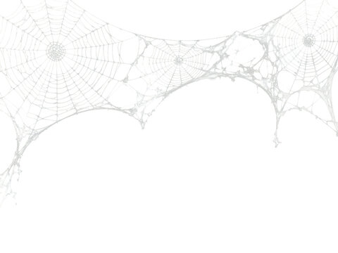 Spider web border with realistic white cobwebs on transparent background
