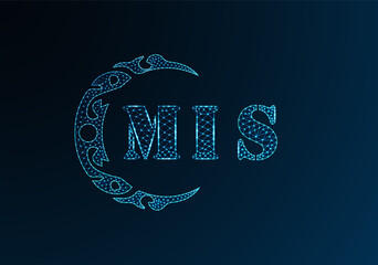 Low poly letter logo MIS design. MIS letter logo low poly vector design on blue color gradient background. MIS logo low poly design © MdAminul