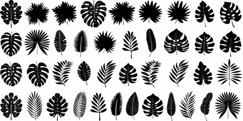Collection of diverse tropical leaf silhouettes in black and white © Ratan