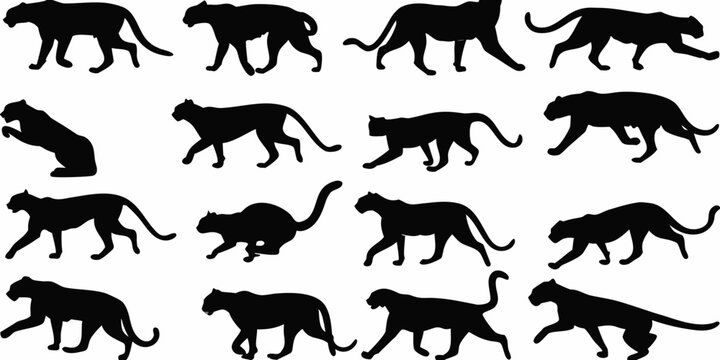 Collection of black silhouettes depicting various feline poses and actions