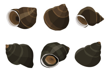 river snail isolated on white background. vector illustration  © isoon