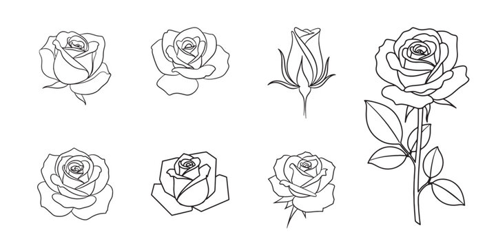 Eight distinct black and white line drawings of various roses