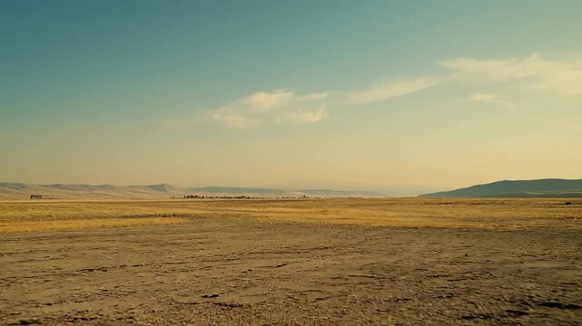 Expansive arid desert landscape stretching towards distant mountains and a serene horizon, highlighting the natural beauty and solitude of a dry, wild plain
