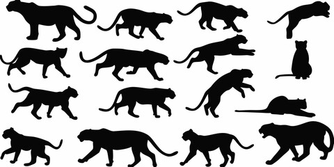 Multiple black silhouettes of tigers and cats in various poses © Kopil