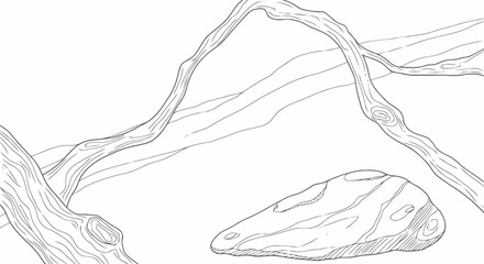 Detailed Illustration of Driftwood and Stones.