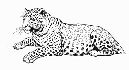 Leopard Illustration with Spotted Fur.