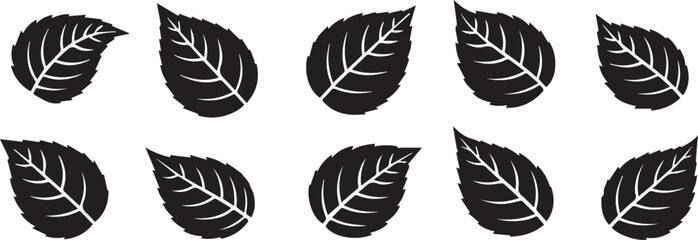 Eight black leaves with white veins on white background © Rabiya