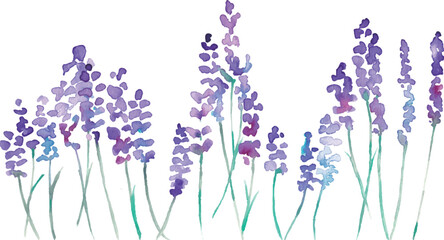 水彩画。水彩タッチのラベンダーベクターイラスト。ラベンダーの春植物背景。Watercolor painting. Watercolor lavender vector illustration. Lavender spring plant background.