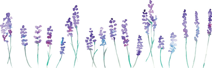 水彩画。水彩タッチのラベンダーベクターイラスト。ラベンダーの春植物背景。Watercolor painting. Watercolor lavender vector illustration. Lavender spring plant background.
