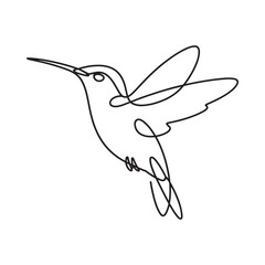 Obraz premium A minimalist line drawing depicts a hummingbird in mid flight