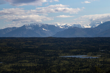 Fototapeta premium Lake below mountains on summer day in interior Alaska