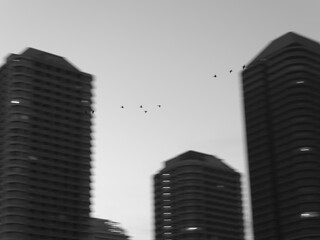 都市高層ビル群と飛翔する鳥の群れ © cooperman