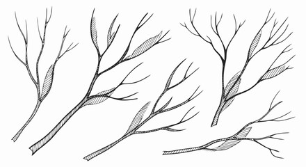 Obraz premium Black and White Branches Illustration Set.