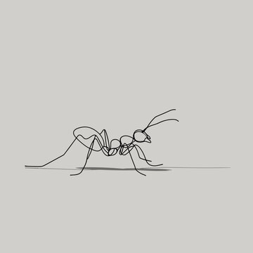 Minimal ant continuous line drawing walking on ground line, simple insect outline illustration in modern linear style isolated on light background
