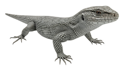 Fototapeta premium Detailed Render of a Blue-Tongued Skink on Black