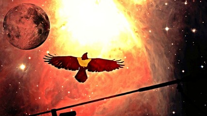 a Pied crow in the sky and full Moon mixed media © lehmannw