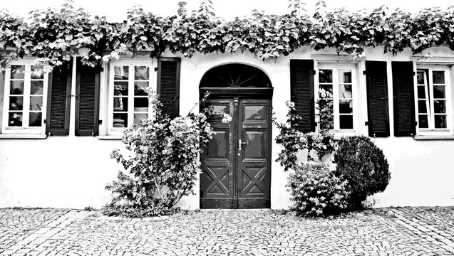 Close up of the front a historical House with wild wine mixed media