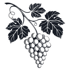 Obraz premium an image of grapes together vector design on a white background