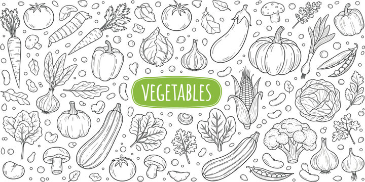 Vegetables Hand Drawn Doodle Background with Fresh Farm Produce and Organic Food Sketch Seamless Vector Illustration