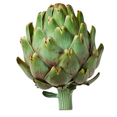Fototapeta premium fresh green artichoke whole isolated on pure white background 