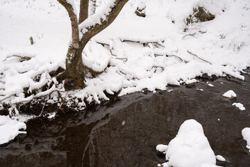 雪の覆われた川