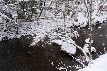 雪に覆われた川