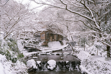 雪に覆われた川