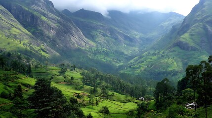 Nature-inspired visual concepts exploring seasons, sustainability, eco lifestyle, and mindfulness through immersive perspectives and diverse artistic styles.