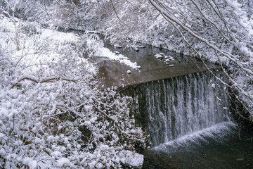 雪に覆われた美しい川