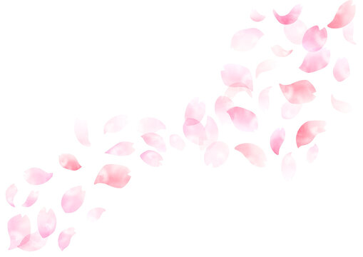 手描き　水彩 春の風に舞い散る桜の花びら 背景フレーム