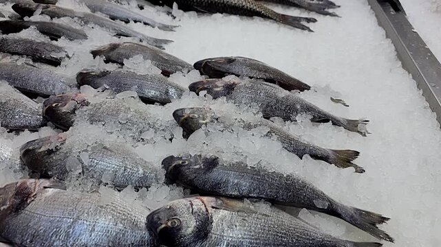Fish market display. Carcasses of fresh fish in a fishmonger's shop. Fresh lemon fish hits the counter. High quality 4k footage