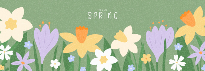 Hello Spring horizontal banner. Hand-drawn vector illustration with spring blooming flowers crocuses, daisies, narcissus. Floral background for design seasonal holiday, ads, branding, cover, card. © Yaran