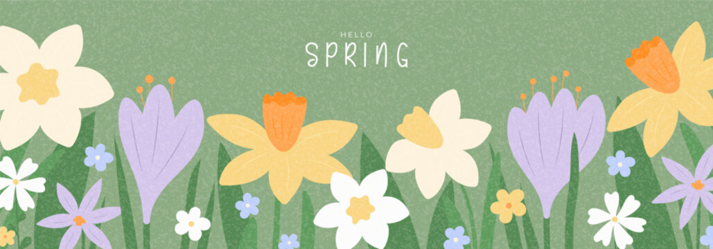 Hello Spring horizontal banner. Hand-drawn vector illustration with spring blooming flowers crocuses, daisies, narcissus. Floral background for design seasonal holiday, ads, branding, cover, card.