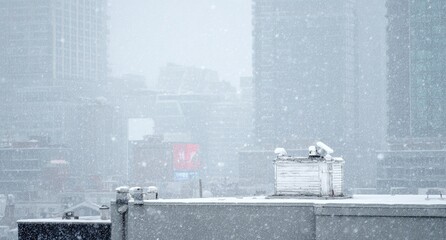 Snowy cityscape view from rooftop