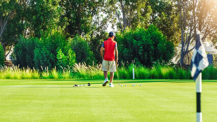 Obraz premium Golf player practices putting on a green surface at a golf course near trees and bushes