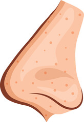 Human Nose Profile with Acne Pimples and Skin Texture