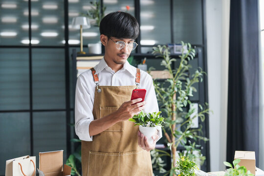 Asian Male Small Business Owner of Eco-Friendly Plant Shop Using Smartphone to Live Stream and Promote Sustainable Greenery Online with Modern Digital Technology
.