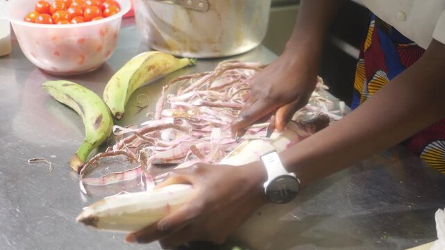 African woman chef prepares peeled cassava mandioca (Manihot esculenta) on a stainless counter, with plantain (Musa spp.) and cherry tomato (Solanum lycopersicum) beside the prep area