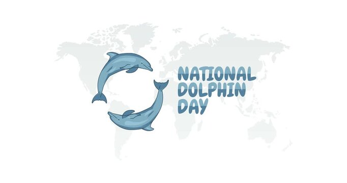 national dolphin day motion video, ideal for national dolphin day celebration