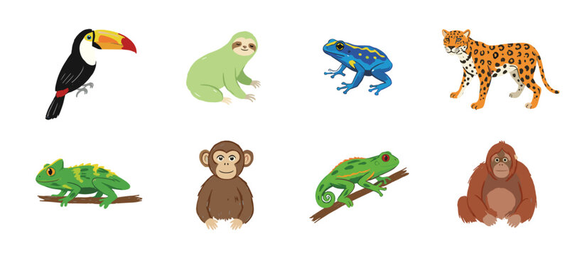 A collection of eight colorful cartoon illustrations of various jungle animals, including a toucan, sloth, leopard, chameleon, monkey, orangutan, and two types of frogs.